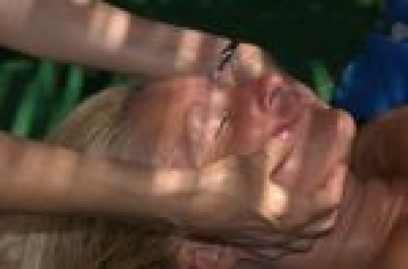 content image